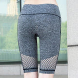 Elastic Fitness Women's Workout Shorts