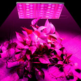 Full Spectrum LED Grow Lights