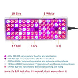 Full Spectrum LED Grow Lights