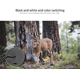 Night Vision Scope Camera