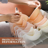 Bra Organizer