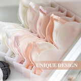 Bra Organizer