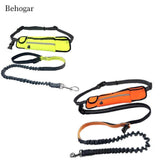 Handsfree Bungee Dog Leash with Waist Bag