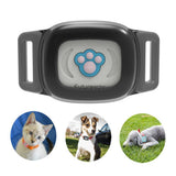 Smart GPS Cat Collar – Pet GPS Tracker