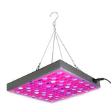 Full Spectrum LED Grow Lights